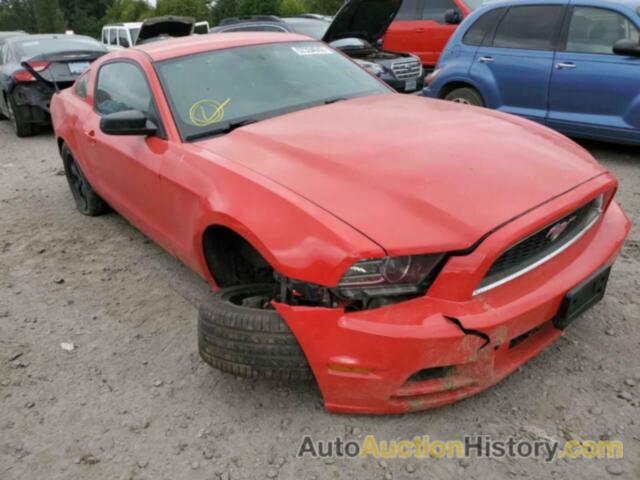 2014 FORD MUSTANG, 1ZVBP8AM0E5229158