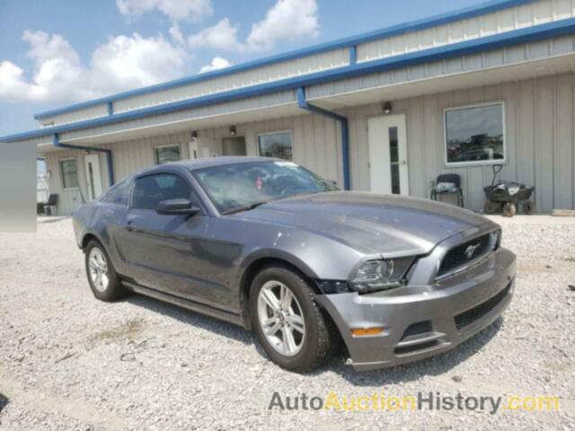 2013 FORD MUSTANG, 1ZVBP8AM3D5275162