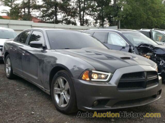 2013 DODGE CHARGER POLICE, 2C3CDXAT2DH542533