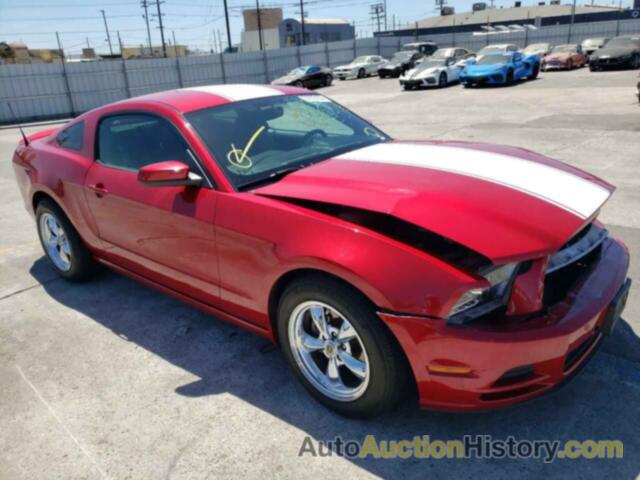 2013 FORD MUSTANG, 1ZVBP8AM9D5267373