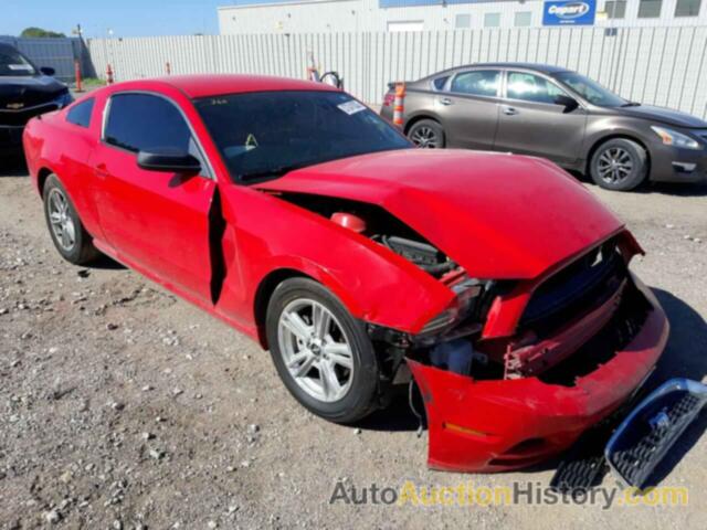 2014 FORD MUSTANG, 1ZVBP8AM6E5300248