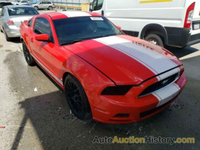 2013 FORD MUSTANG, 1ZVBP8AM4D5204293