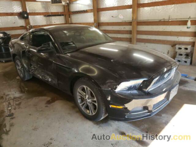 2014 FORD MUSTANG, 1ZVBP8AM3E5210717