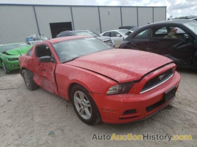 2013 FORD MUSTANG, 1ZVBP8AM5D5254166