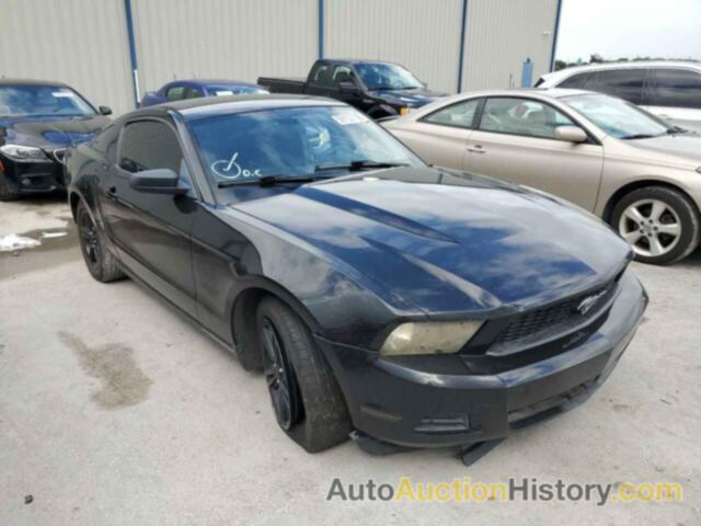 2012 FORD MUSTANG, 1ZVBP8AM6C5236855