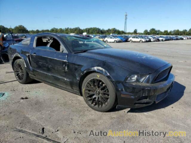 2013 FORD MUSTANG, 1ZVBP8AM1D5223528