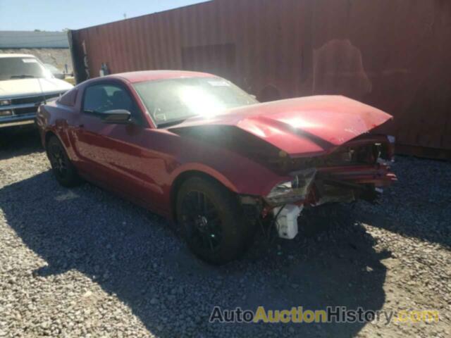 2014 FORD MUSTANG, 1ZVBP8AM4E5318506