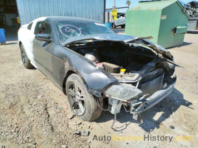 2013 FORD MUSTANG, 1ZVBP8AM4D5267314