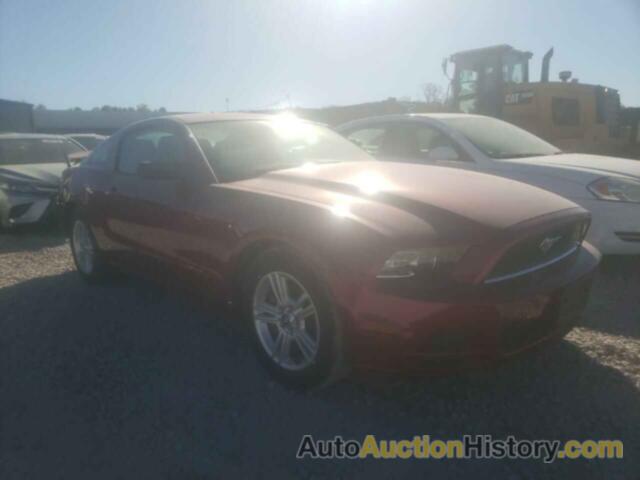 2014 FORD MUSTANG, 1ZVBP8AM4E5315461