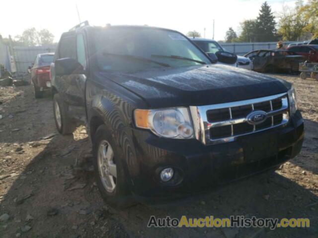 2011 FORD ESCAPE XLT, 1FMCU0D79BKB71955