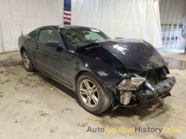 2012 FORD MUSTANG, 1ZVBP8AM3C5207264