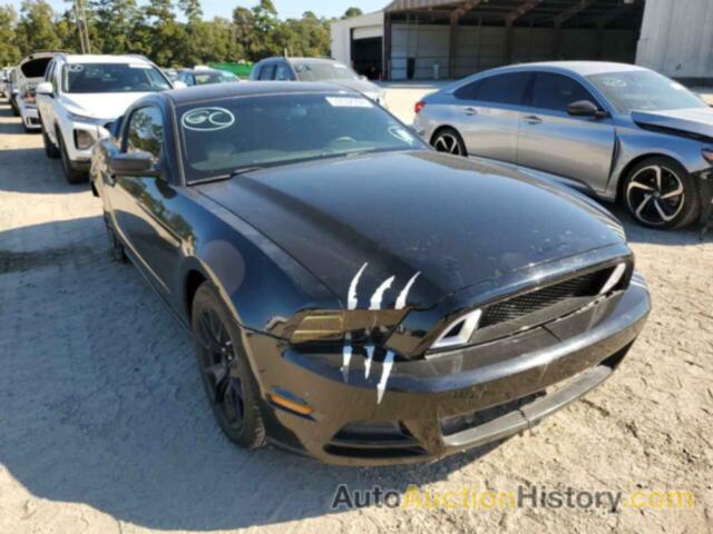 2013 FORD MUSTANG, 1ZVBP8AM8D5235370