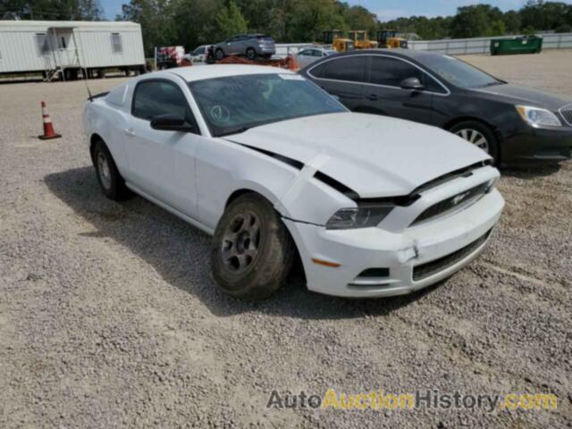 2014 FORD MUSTANG, 1ZVBP8AM0E5206950