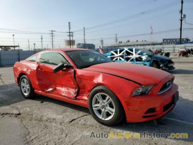 2013 FORD MUSTANG, 1ZVBP8AM8D5262455