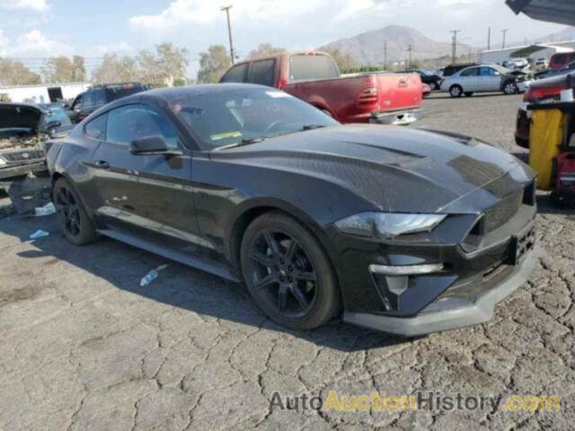 2019 FORD MUSTANG, 1FA6P8TH0K5169260
