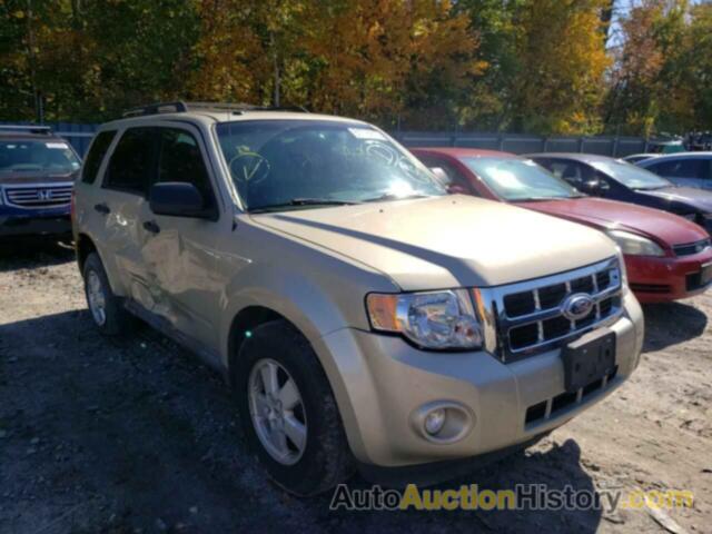 2012 FORD ESCAPE XLT, 1FMCU9D79CKA13511