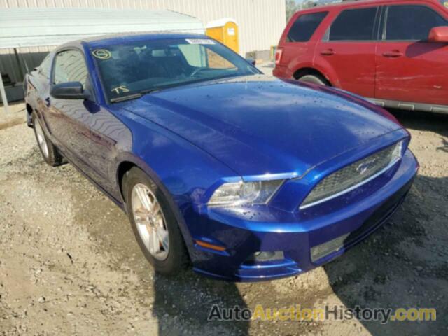 2013 FORD MUSTANG, 1ZVBP8AM4D5273453
