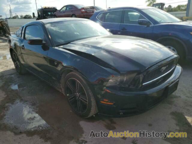 2013 FORD MUSTANG, 1ZVBP8AM1D5281414