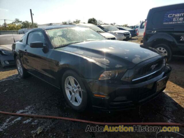 2014 FORD MUSTANG, 1ZVBP8AM1E5225622