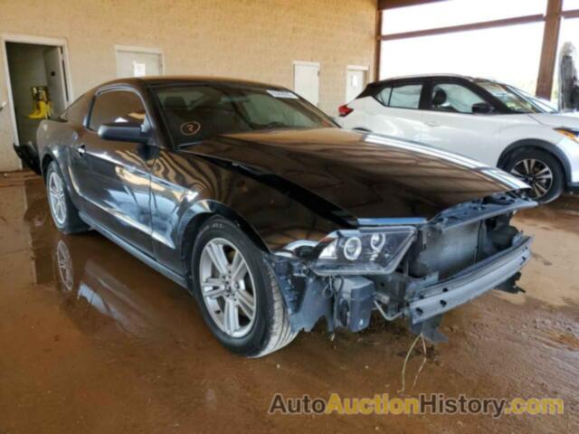 2014 FORD MUSTANG, 1ZVBP8AM5E5255884