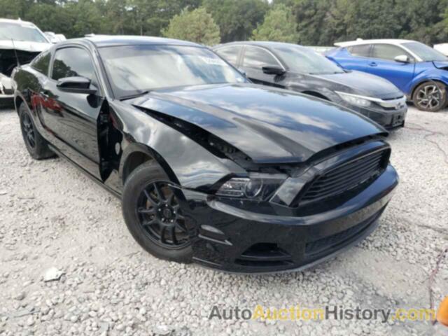 2013 FORD MUSTANG, 1ZVBP8AM8D5255246