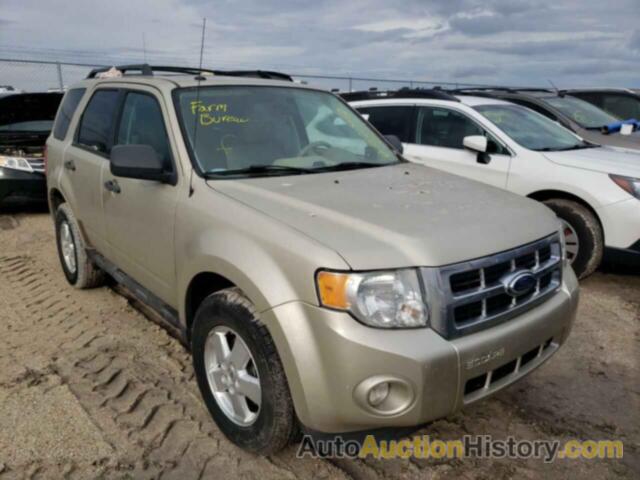 2011 FORD ESCAPE XLT, 1FMCU0D71BKB78026