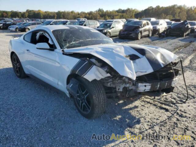 2019 FORD MUSTANG, 1FA6P8TH0K5184664