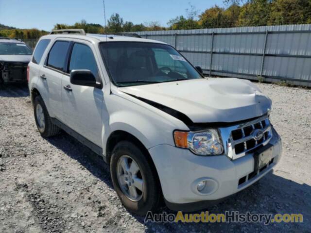 2011 FORD ESCAPE XLT, 1FMCU0D78BKB43970