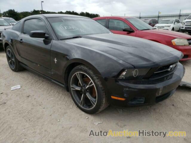 2012 FORD MUSTANG, 1ZVBP8AM8C5233116