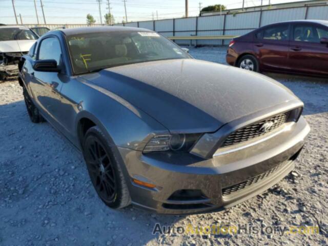 2014 FORD MUSTANG, 1ZVBP8AM6E5233599
