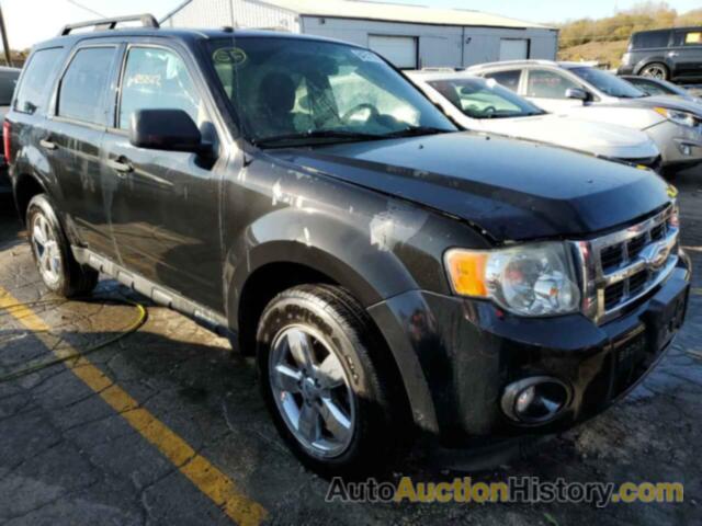 2011 FORD ESCAPE XLT, 1FMCU0D76BKB10532