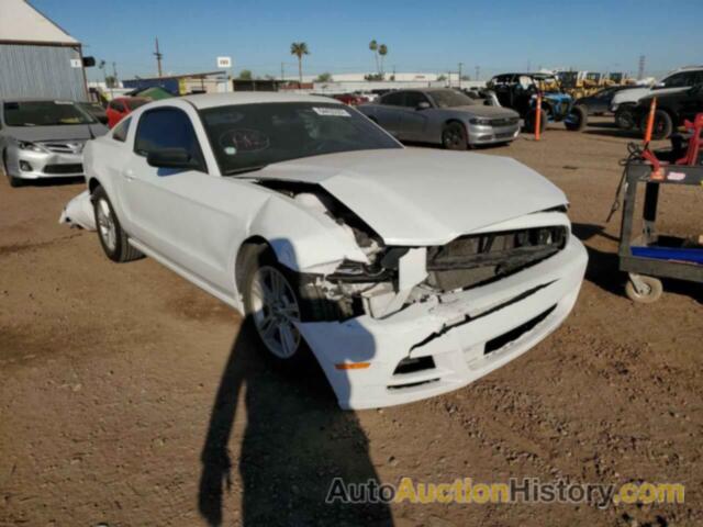 2014 FORD MUSTANG, 1ZVBP8AM7E5263159