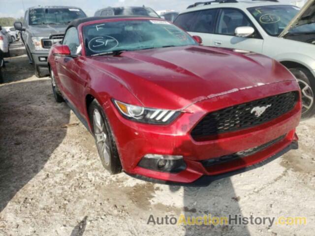 2015 FORD MUSTANG, 1FATP8UH9F5387253