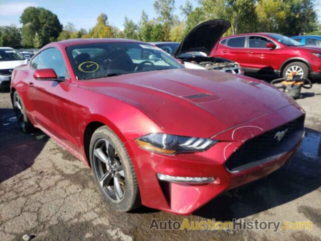 2019 FORD MUSTANG, 1FA6P8TH5K5147853