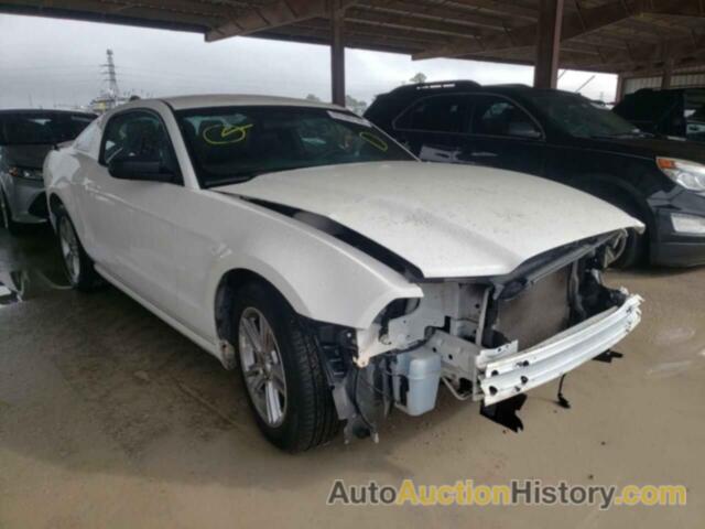 2013 FORD MUSTANG, 1ZVBP8AM3D5278949