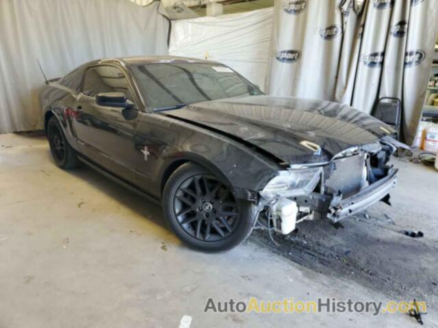2014 FORD MUSTANG, 1ZVBP8AM1E5269345