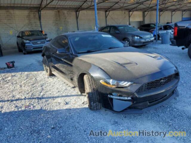 2019 FORD MUSTANG, 1FA6P8TH0K5116459