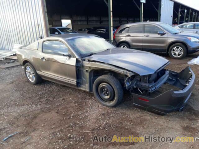2013 FORD MUSTANG, 1ZVBP8AM8D5271592