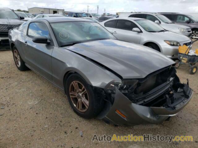 2013 FORD MUSTANG, 1ZVBP8AM9D5274209