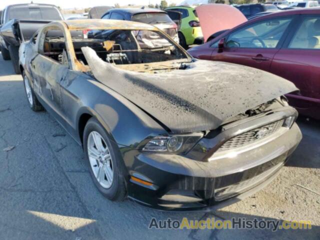 2014 FORD MUSTANG, 1ZVBP8AM8E5215413