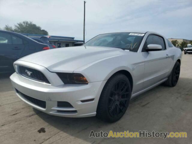 2013 FORD MUSTANG, 1ZVBP8AM3D5219304