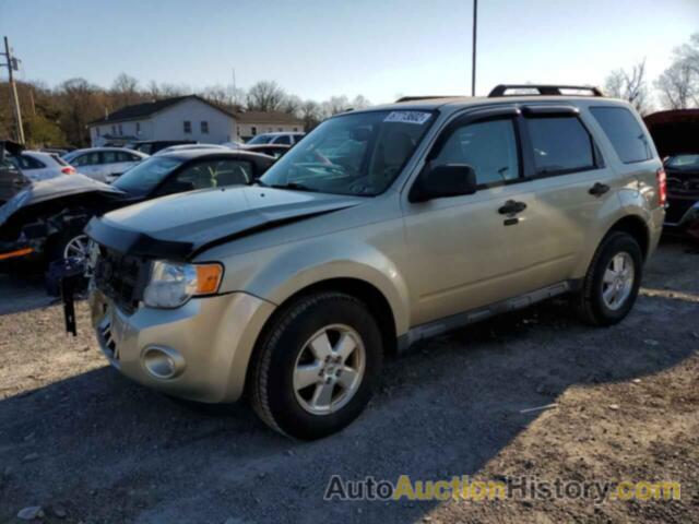 2011 FORD ESCAPE XLT, 1FMCU9D70BKB36015