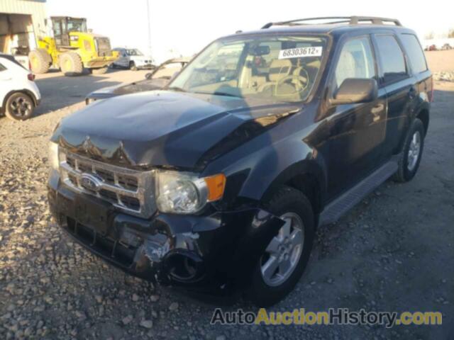 2011 FORD ESCAPE XLT, 1FMCU0D74BKB44405