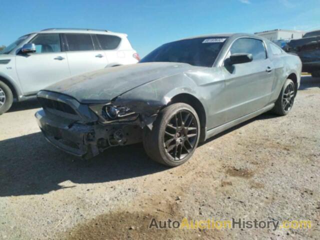 2013 FORD MUSTANG, 1ZVBP8AM1D5206423