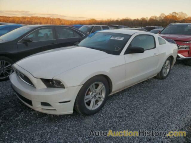 2013 FORD MUSTANG, 1ZVBP8AM1D5276116