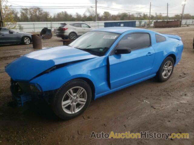 2013 FORD MUSTANG, 1ZVBP8AM6D5281893
