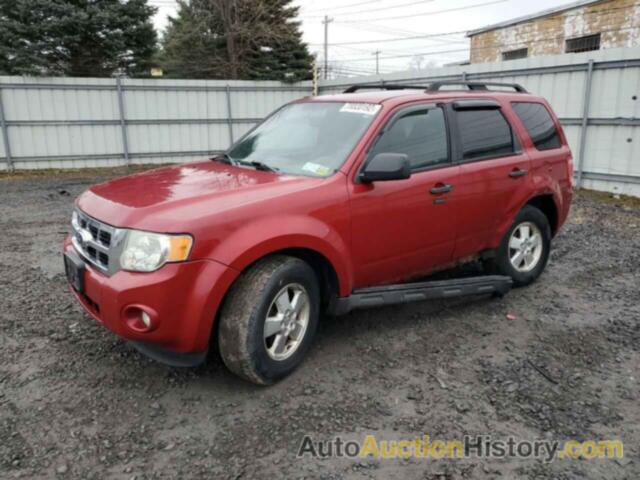 2011 FORD ESCAPE XLT, 1FMCU9D72BKB43077