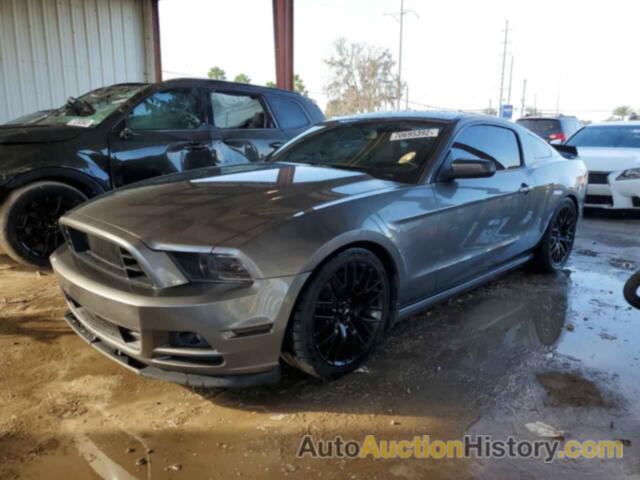 2013 FORD MUSTANG, 1ZVBP8AM4D5253980