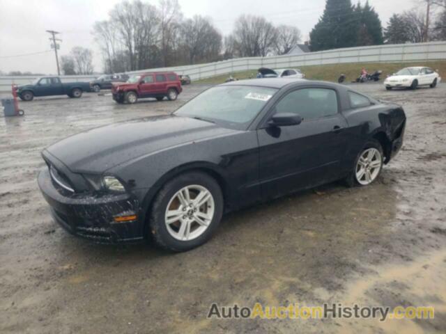 2013 FORD MUSTANG, 1ZVBP8AM2D5270423