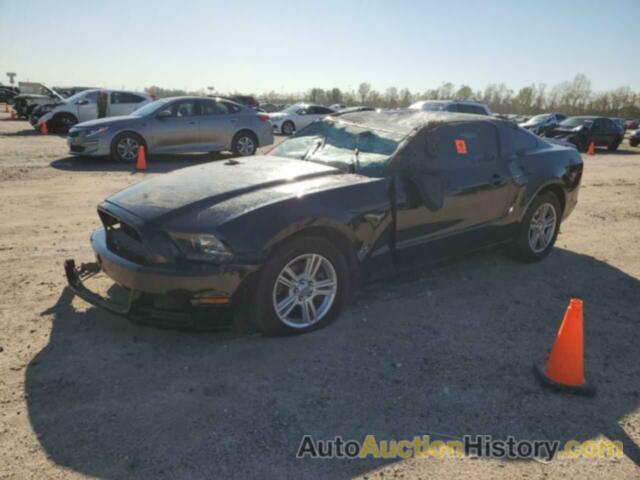 2013 FORD MUSTANG, 1ZVBP8AM7D5281983